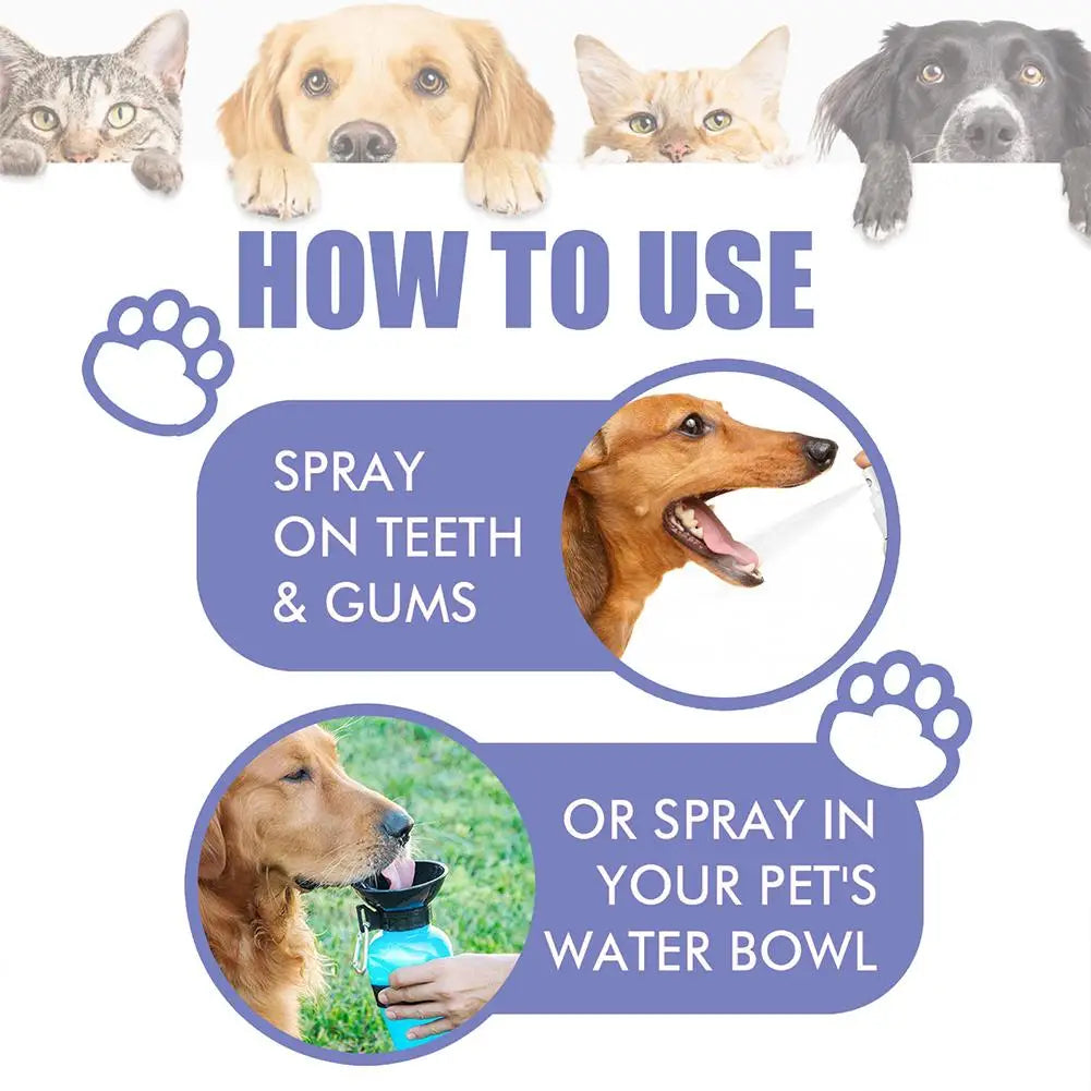 Pet Dental Spray for Dogs & Cats – Teeth Cleaning, Plaque & Tartar Control, Fresh Breath Oral Care