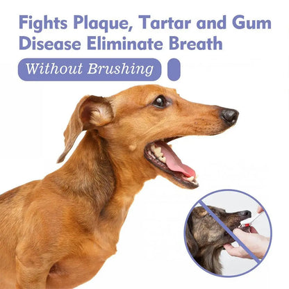 Pet Dental Spray for Dogs & Cats – Teeth Cleaning, Plaque & Tartar Control, Fresh Breath Oral Care