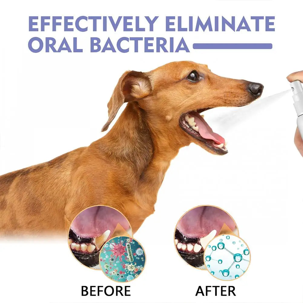 Pet Dental Spray for Dogs & Cats – Teeth Cleaning, Plaque & Tartar Control, Fresh Breath Oral Care