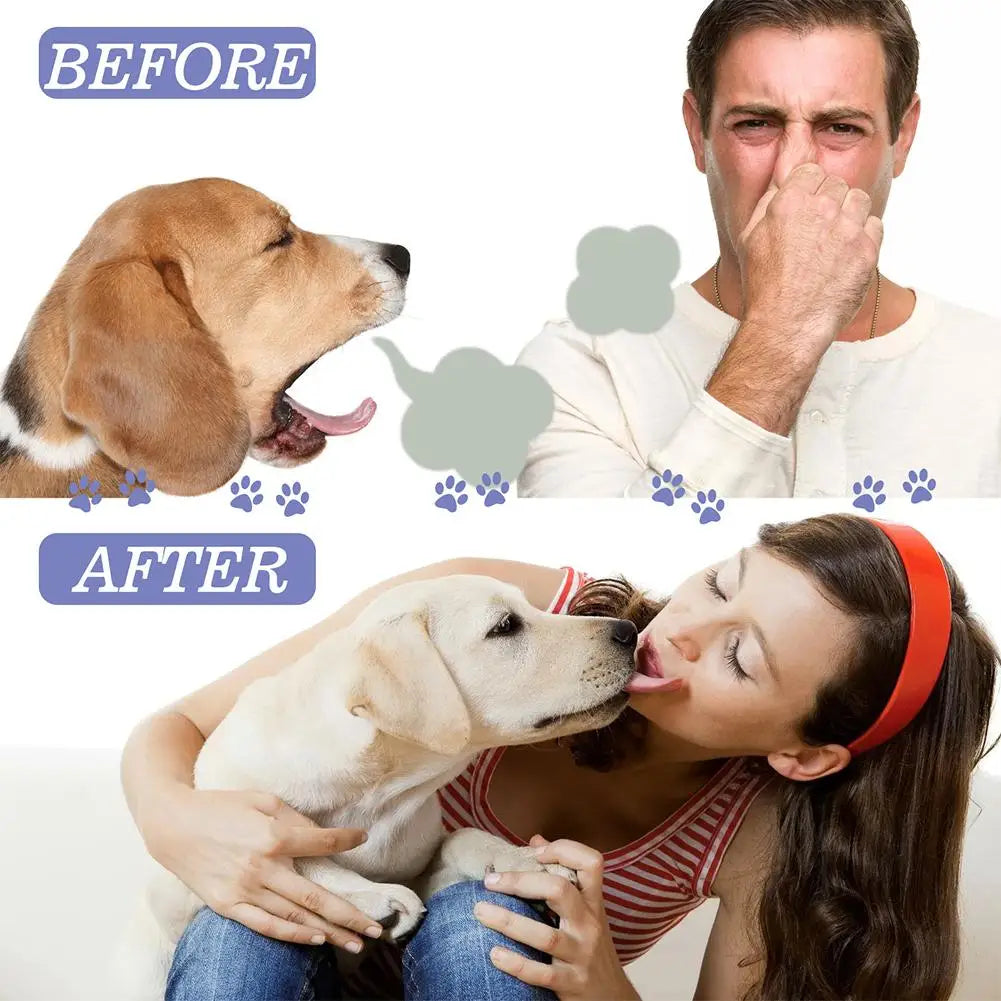 Pet Dental Spray for Dogs & Cats – Teeth Cleaning, Plaque & Tartar Control, Fresh Breath Oral Care