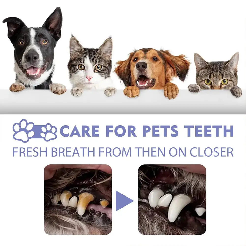 Pet Dental Spray for Dogs & Cats – Teeth Cleaning, Plaque & Tartar Control, Fresh Breath Oral Care